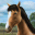 Иконка My Horse