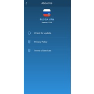 Информационный экран приложения VPN Russia