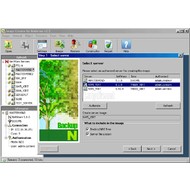 Скриншот Novell NetWare Revisor