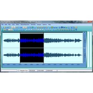 Скриншот Digital Audio Editor