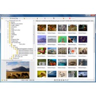 Скриншот PhotoScape - вкладка просмотра изображений.