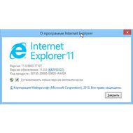 Скриншот Internet Explorer - информация о браузере