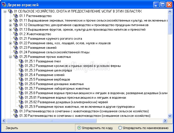 Справочник оквэд 2013, справочник видов деятельности оквэд. Программы