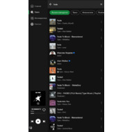 Поиск в Spotify