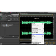 Редактирование аудиотрека в  Adobe Audition