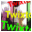 Иконка Twixtor