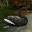 Иконка Озеро черного лебедя – Анимированная Заставка