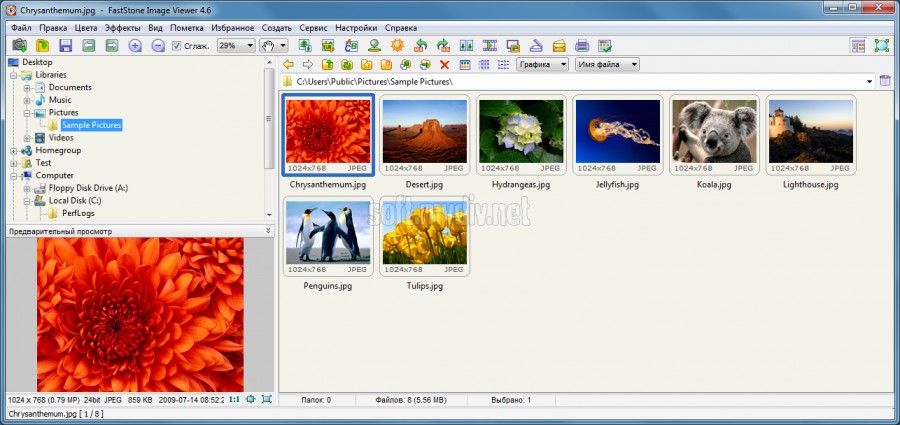 Faststone Image Viewer Скачать Windows 8