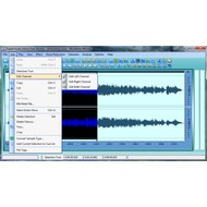 Скриншот Digital Audio Editor