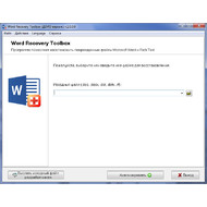 Основное функциональное окно Word Recovery Toolbox 2.0.0.0