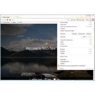 Главное окно Torch Browser