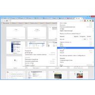 Скриншот Google Chrome - главное меню браузера