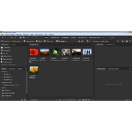 Главное меню (каталог изображений) Adobe Bridge